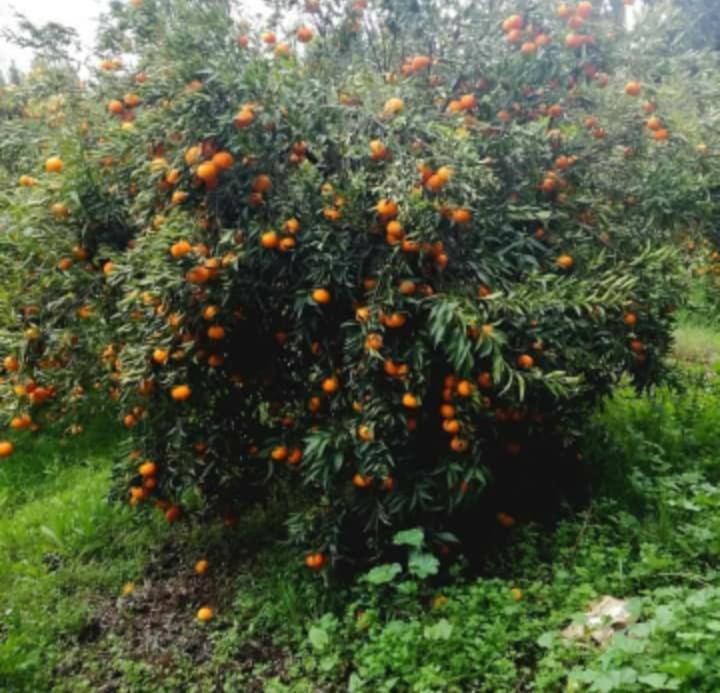 El Kheriba Dar Khedija旅馆 外观 照片