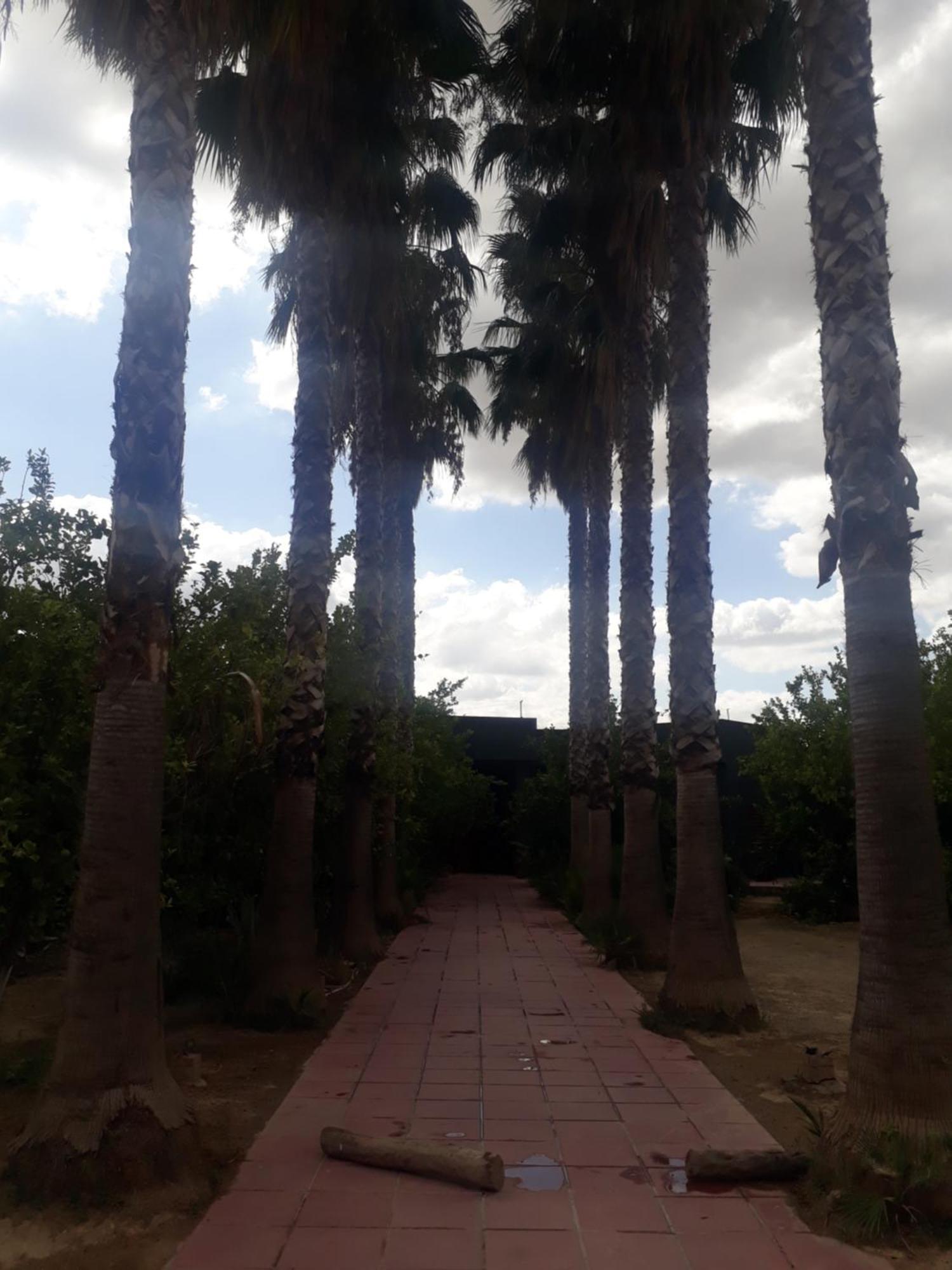 El Kheriba Dar Khedija旅馆 外观 照片